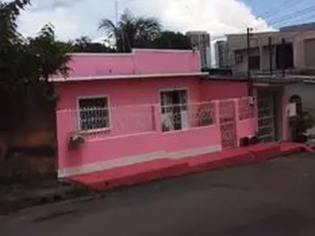 Imagem: Lírio do Vale 1