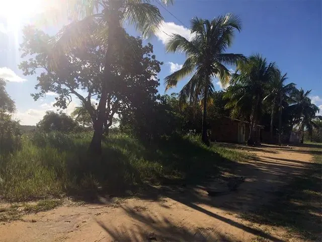 Imagem 6: Terreno Japaratinga 1Km da Praia - 1394M2