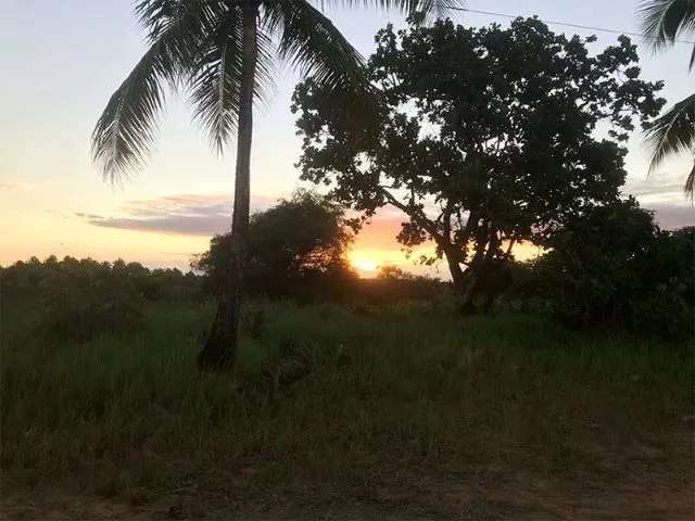 Imagem 7: Terreno Japaratinga 1Km da Praia - 1394M2