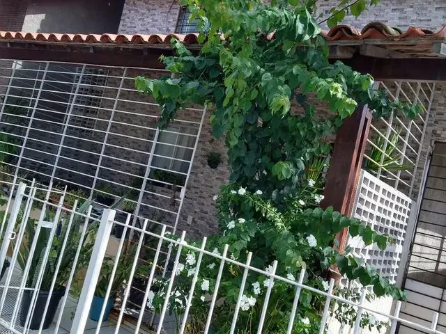 Imagem 1: Vendo Duplex em Av.claudio Gueiros Leite