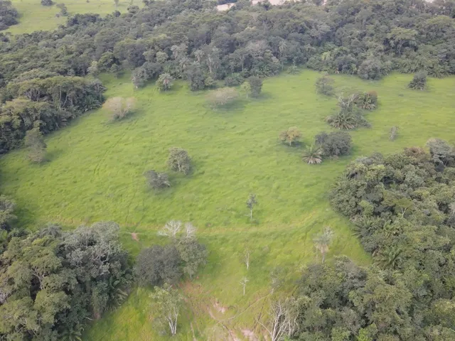 Imagem 13: Lindo Sítio de 7,02 Alqueires com Casa e Infraestrutura Completa em Prata-MG: Ideal para