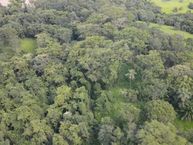 Imagem 5: Lindo Sítio de 7,02 Alqueires com Casa e Infraestrutura Completa em Prata-MG: Ideal para