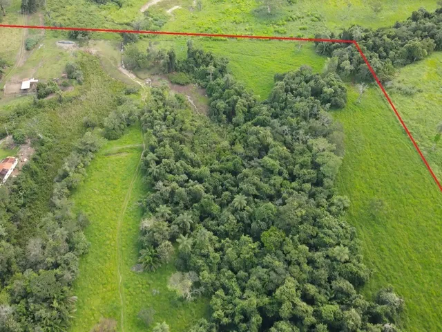 Imagem 9: Lindo Sítio de 7,02 Alqueires com Casa e Infraestrutura Completa em Prata-MG: Ideal para