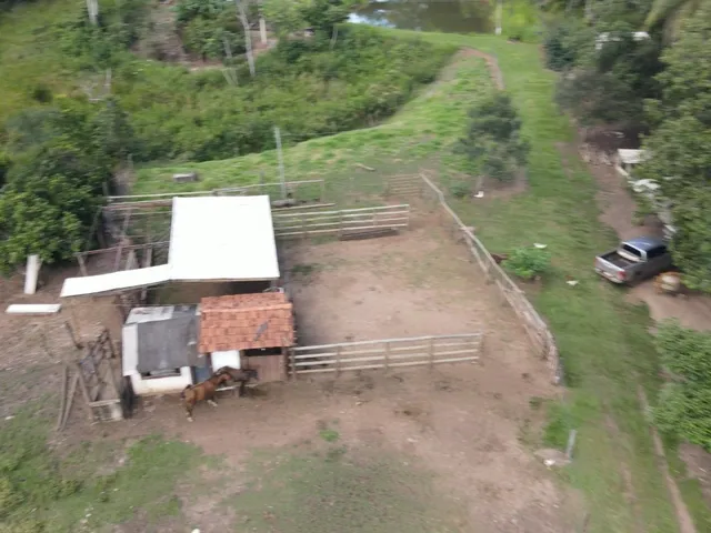 Imagem 14: Lindo Sítio de 7,02 Alqueires com Casa e Infraestrutura Completa em Prata-MG: Ideal para