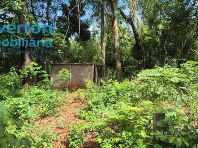 Imagem 12: Chácara 20.000m2 com reserva averbada - Cruzeiro dos Peixotos. Casa 03 quartos (sendo 01