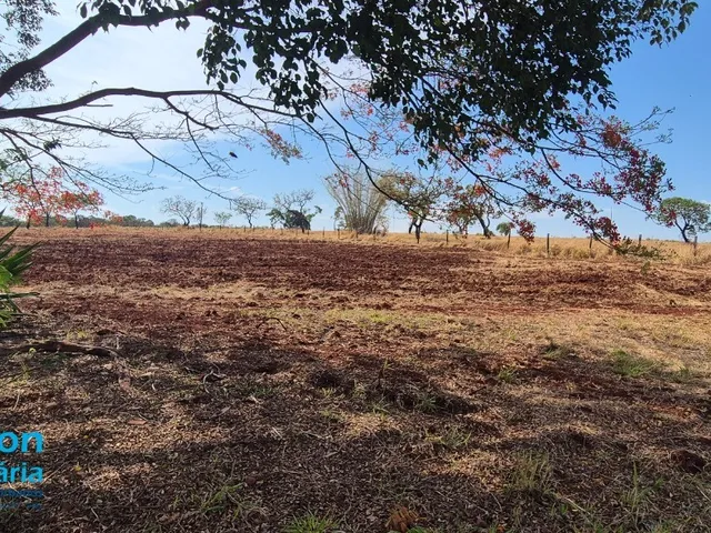 Imagem 7: Chácara em Indianópolis MG com 2 hectares