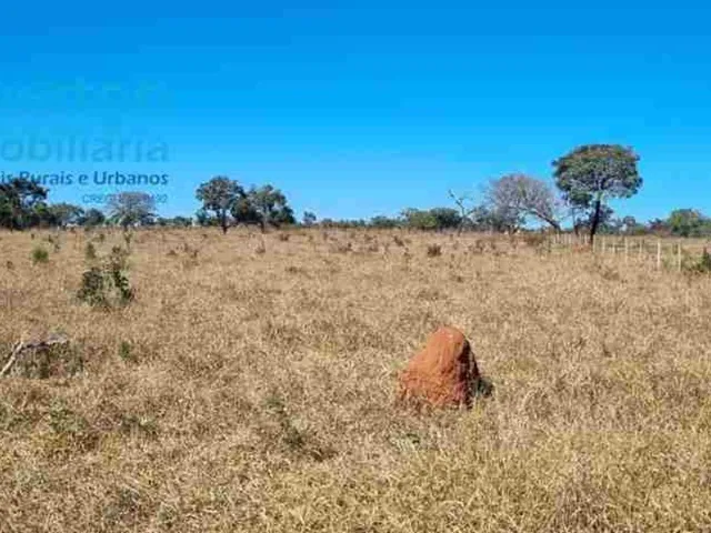 Imagem: Sítio 48.400m2 (01 Alqueire) - OPORTUNIDADE