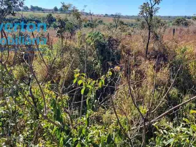 Imagem 12: Sítio 48.400m2 (01 Alqueire) - OPORTUNIDADE - Moradia, lazer e pequenos empreendimentos