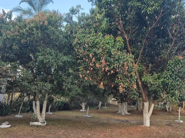 Imagem 7: Chácara com 60.120 M² em Uberlândia MG