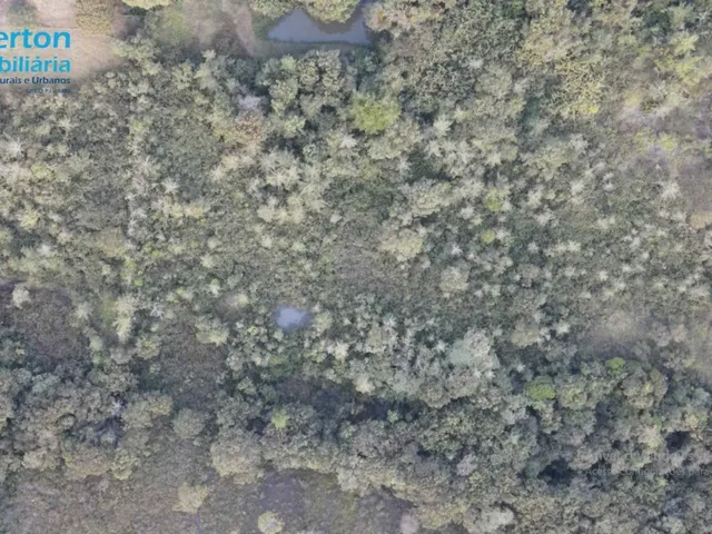 Imagem 11: Chácara com 60.120 M² em Uberlândia MG