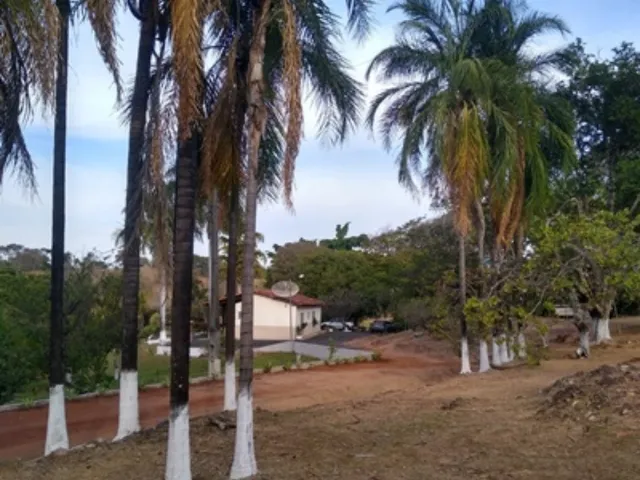 Imagem 13: Sítio de Tirar o Fôlego à Venda em Cascalho Rico-MG: Ideal para Pescaria e Descanso! 2