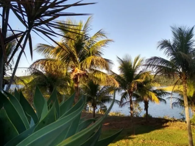 Imagem 6: Sítio de Tirar o Fôlego à Venda em Cascalho Rico-MG: Ideal para Pescaria e Descanso! 2