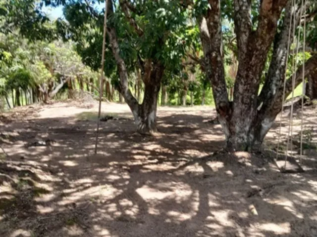 Imagem 10: Rancho 24.200 m² de Tirar o Fôlego à Venda em Cascalho Rico-MG: Ideal para Pescaria e