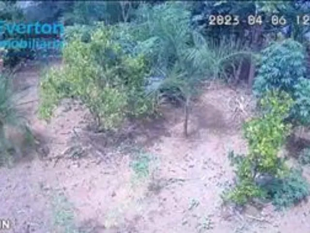Imagem 2: 0 Chácara com venda por R$350.000