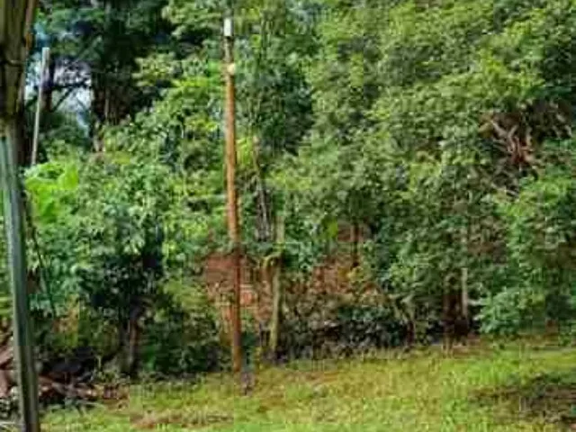 Imagem 5: Rancho 2.000m2 - Condomínio Fechado Miranda I - Moradia e lazer, com acesso direto
