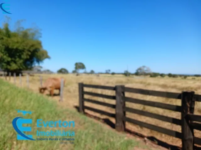 Imagem 9: Fazenda com 1.712 hectares - Barra do Garça - MT
