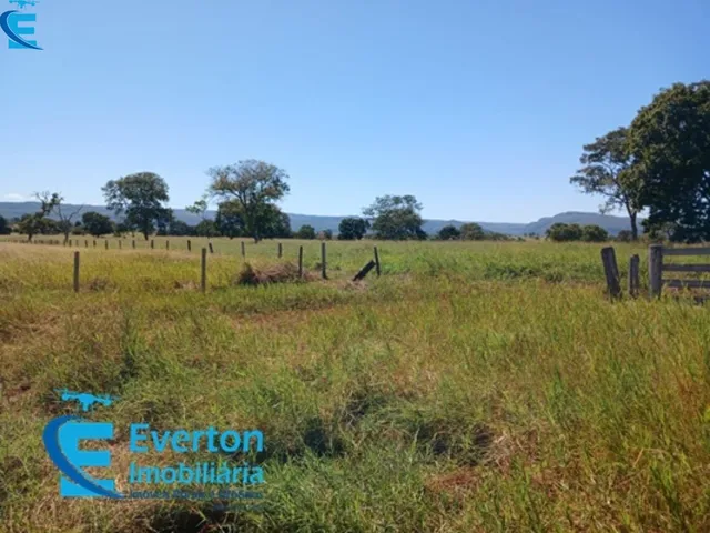 Imagem 4: Fazenda com 1.712 hectares - Barra do Garça - MT