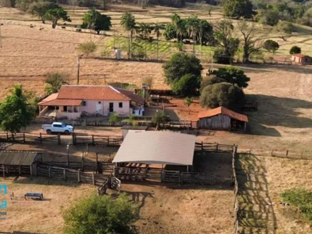 Imagem: Fazenda em Campina Verde Mg