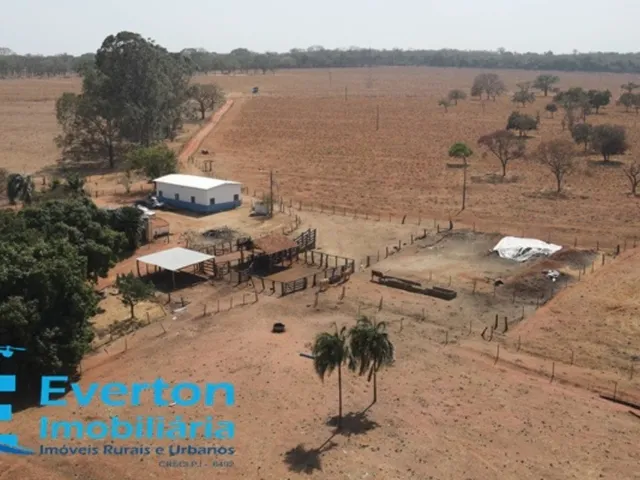 Imagem 1: Fazenda em monte Alegre de Minas com 98.79 hectares - 20.41 alqueires ideal para lavoura