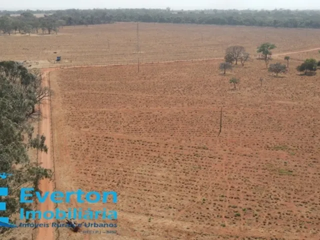 Imagem 14: Fazenda em monte Alegre de Minas com 98.79 hectares - 20.41 alqueires ideal para lavoura