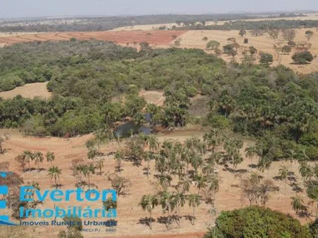 Imagem 10: Fazenda em monte Alegre de Minas com 98.79 hectares - 20.41 alqueires ideal para lavoura