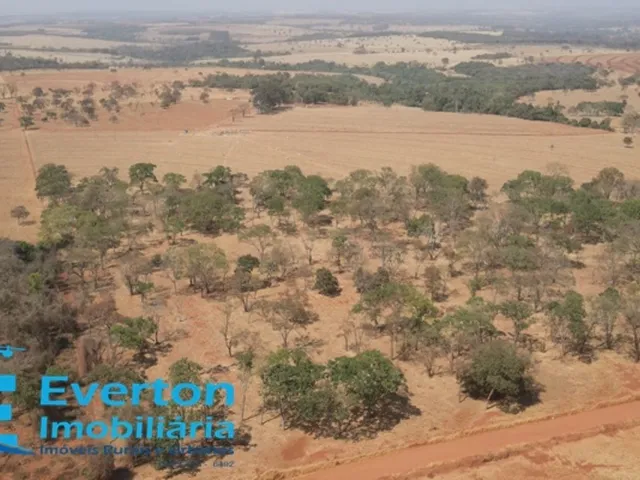 Imagem 16: Fazenda em monte Alegre de Minas com 98.79 hectares - 20.41 alqueires ideal para lavoura