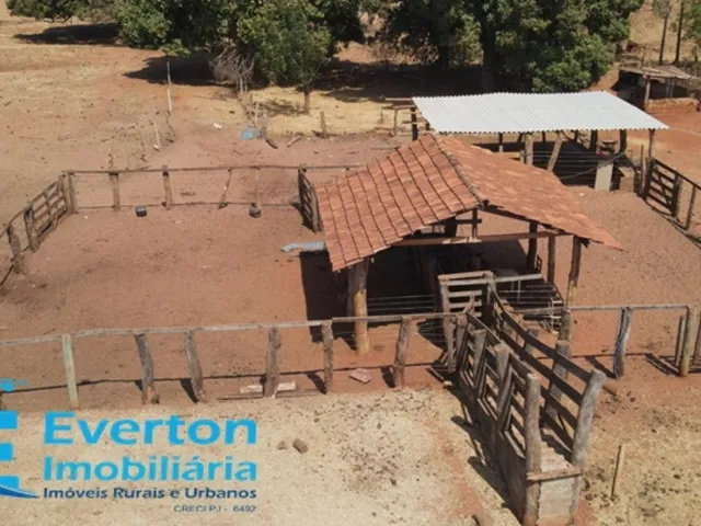 Imagem 2: Fazenda em monte Alegre de Minas com 98.79 hectares - 20.41 alqueires ideal para lavoura