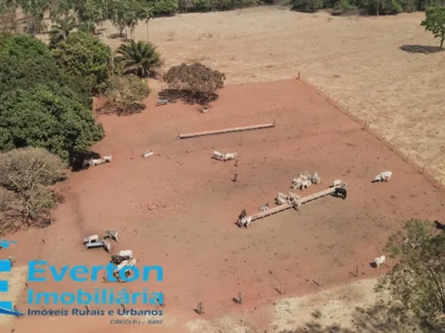 Imagem 5: Fazenda em monte Alegre de Minas com 98.79 hectares - 20.41 alqueires ideal para lavoura