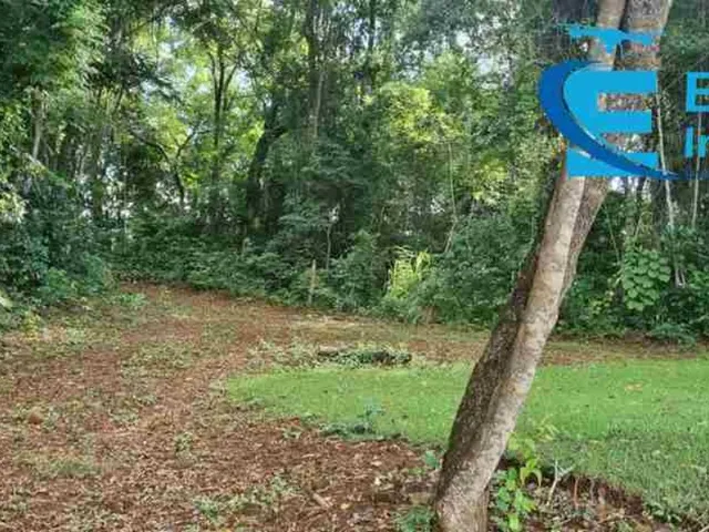 Imagem 6: Chácara com área de 5.570,025 m², OPROTUNUDADE - Moradia, lazer e pequenas atividades