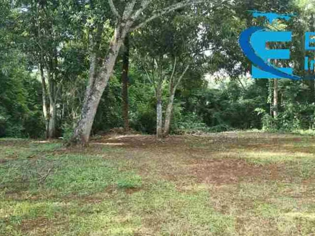 Imagem 12: Chácara com área de 5.570,025 m², OPROTUNUDADE - Moradia, lazer e pequenas atividades