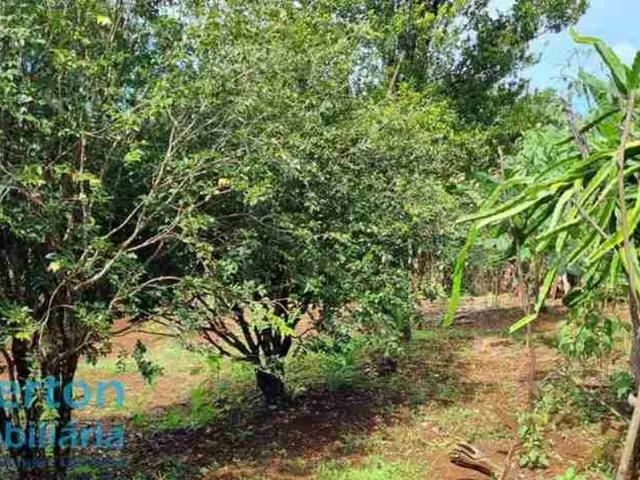Imagem 9: Rancho 2.000m2 - Moradia e Lazer - Condomínio Miranda I
