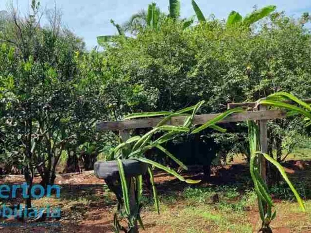 Imagem 5: Rancho 2.000m2 - Moradia e Lazer - Condomínio Miranda I