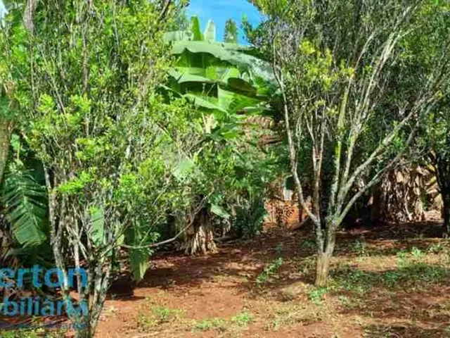 Imagem 2: Rancho 2.000m2 - Moradia e Lazer - Condomínio Miranda I