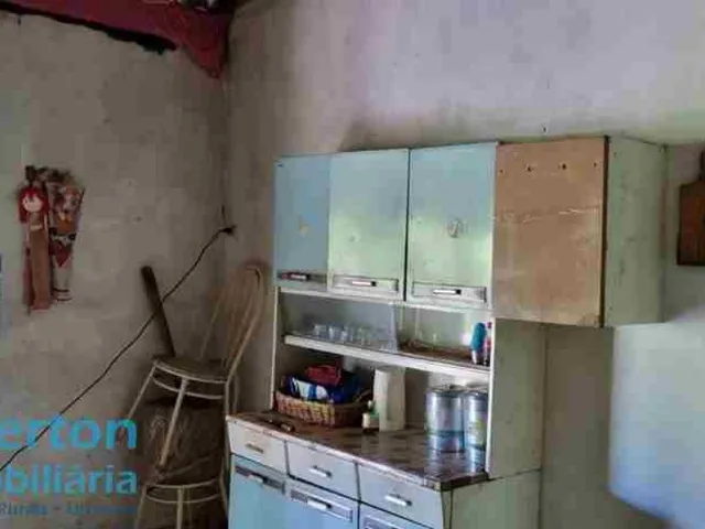 Imagem 6: Rancho 2.000m2 - Moradia e Lazer - Condomínio Miranda I