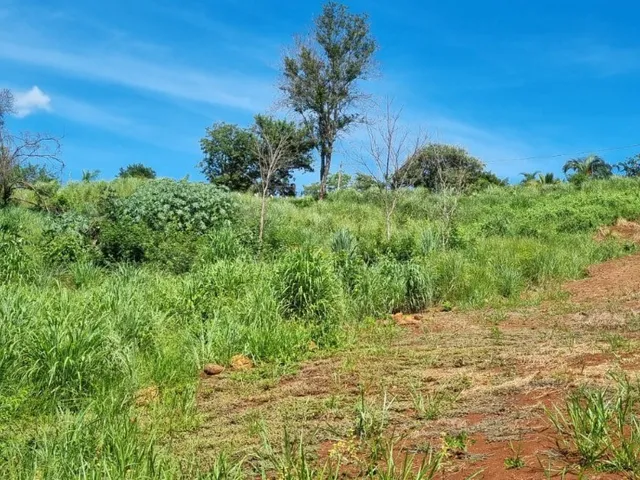 Imagem 3: Oportunidade Rancho 3.968,11m2 - Condomínio Lago Verde - Miranda - valor R$650.000,00