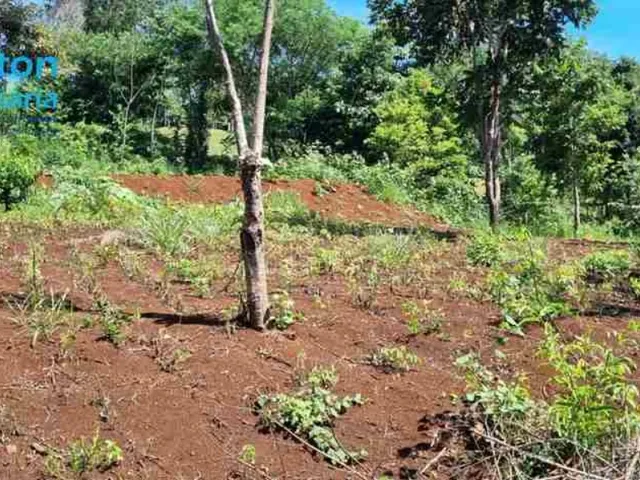 Imagem 6: Oportunidade Chácara 5.136 m2 - Condomínio Lago Verde - Miranda - valor R$650.000,00