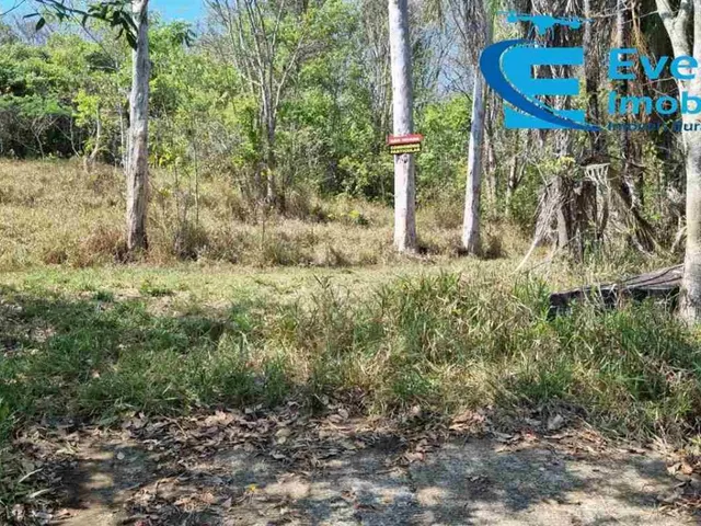 Imagem 3: Oportunidade Chácara 10.000 m2- Capim Branco II - Ideal para moradia, lazer e pescaria
