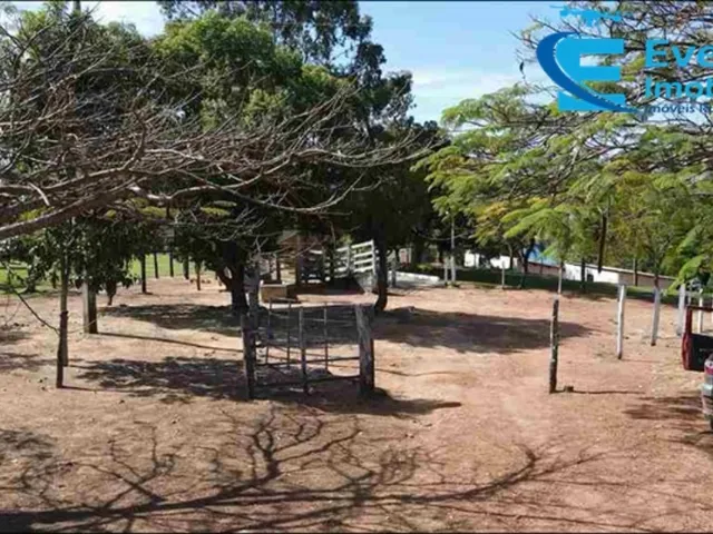 Imagem 5: Rancho Cascalho Rico MG com 4.07 alqueires (19.70 hectares