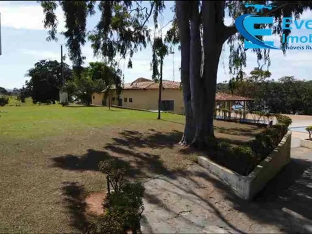 Imagem 2: Rancho Cascalho Rico MG com 4.07 alqueires (19.70 hectares