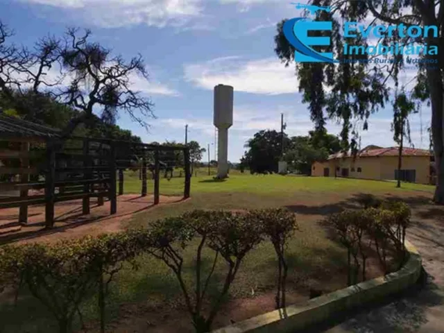 Imagem 8: Sitio Cascalho Rico MG com 4.07 alqueires (19.70 hectares
