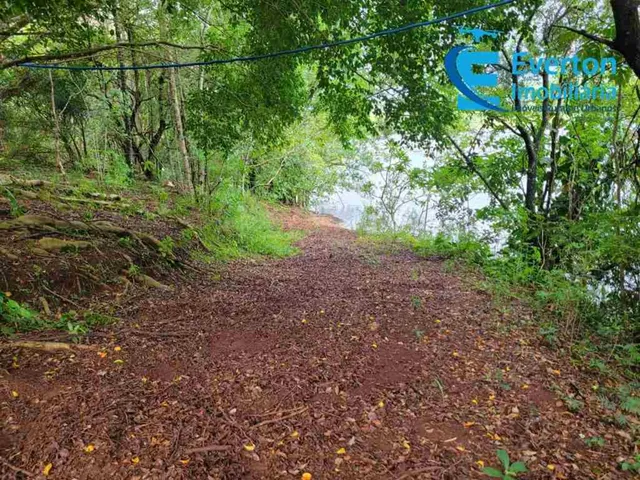 Imagem 16: Chácara 21.000 m2- Miranda IV- Moradia e Lazer