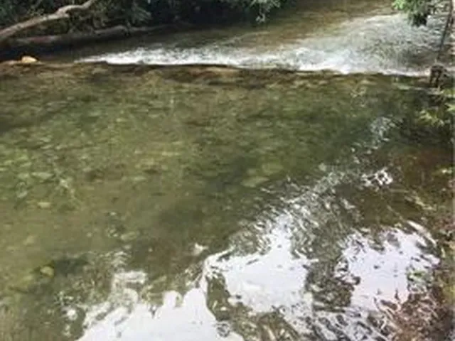 Imagem 4: Aluguel de Chácara . Chapada