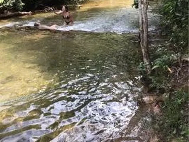Imagem 5: Aluguel de Chácara . Chapada