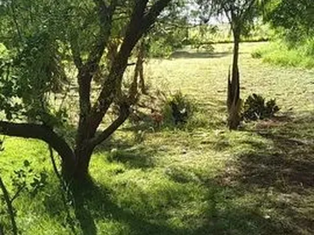 Imagem 5: Vendo 3041M2 Ao Lado da Gleba Esperança