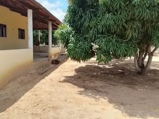 Imagem 1: Vende-Se Granja em Bom Jesus
