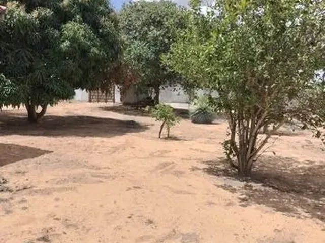 Imagem 4: Vende-Se Granja em Bom Jesus