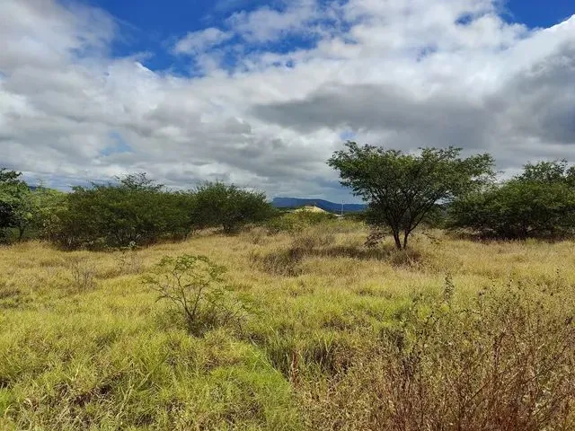 Imagem 5: Vendo Terreno para Chácara Próximo a Serra Talhada