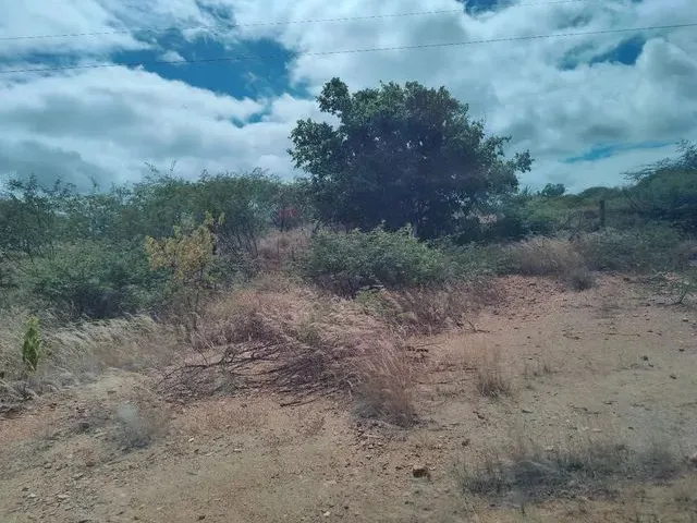 Imagem 11: Vendo Terreno para Chácara Próximo a Serra Talhada