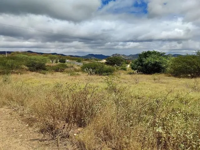 Imagem 4: Vendo Terreno para Chácara Próximo a Serra Talhada