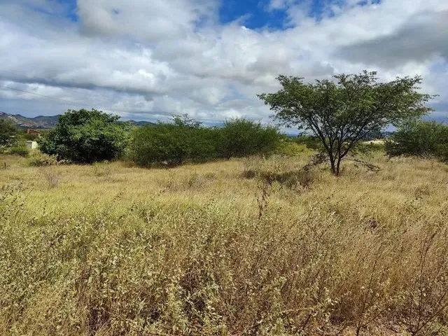 Imagem 9: Vendo Terreno para Chácara Próximo a Serra Talhada